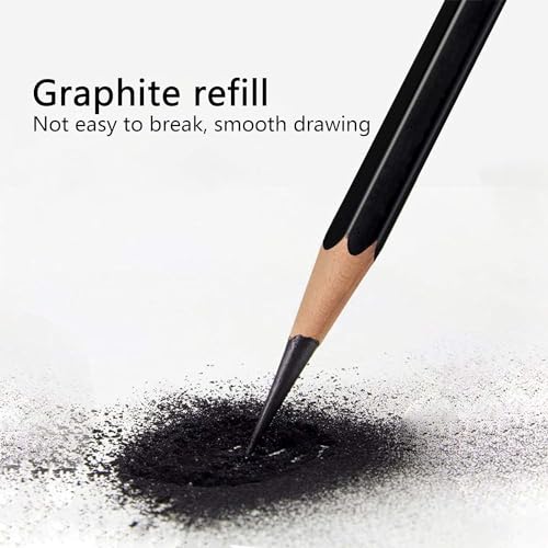 Wonwood_direct Bleistift Set, 12-Teiliges Zeichenstifte, Bleistifte Zeichnen von 2H bis 8B Zeichenset mit Graphitstifte für Künstler, Kinder, Erwachsene, Zeichnungen, Skizzieren Liebhaberin (Typ 2)