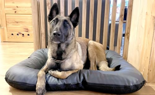 4L Textil Ella Hundebett mittelgroße Hunde Kunstleder Wasserfestes Hundebett Hundekissen Kunstleder Hundematratze (90x70 cm, Graphit)