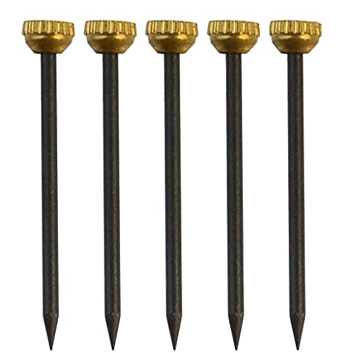 Image of Plaster Picture Frame Hangers Brass for Head Hanging Pins Frame Hangers Nails Hardware Kit Fits Picture Hangers 120pcs Brass Head Hanging Pins