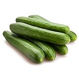 Cucumber-Burpless Bush Slicer F1 (50 Seeds)