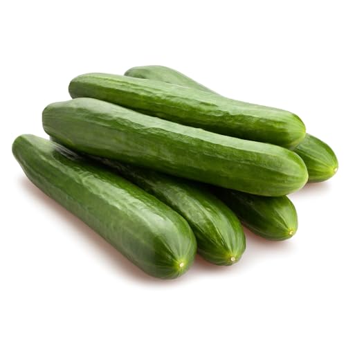 Cucumber-Burpless Bush Slicer F1 (50 Seeds)