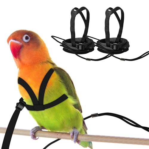 HOKABLE 2 pcs Pet Parrot Bird Harness and Leash, Adjustable Training Design Anti-Bite, Outdoor Flying Training Rope Kit for Bird Parrots Fits Birds Chest Between24-51cm /9.45-20inch - M (Black