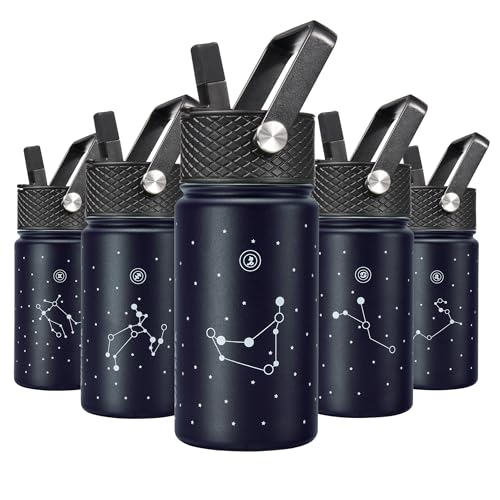 Image of BJPKPK Insulated Water Bottle, 15oz Stainless Steel with Straw Lid