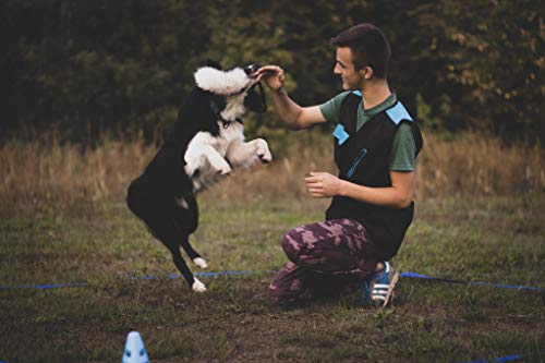 Dingo Hundespielzeug Schaf Pelz Naturfell mit Bungee-Griff Agility Apporte Motivation Spiel Zerrspielzeuge Training Grün Griff 15581