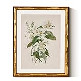 InSimSea Gold Bamboo Framed Canvas Wall Art, Neutral Floral Botanical Paintings, Antique Vintage Picture Frame with Mat, Victorian Home Wall Decor for Living Room Bedroom, 11x14inch