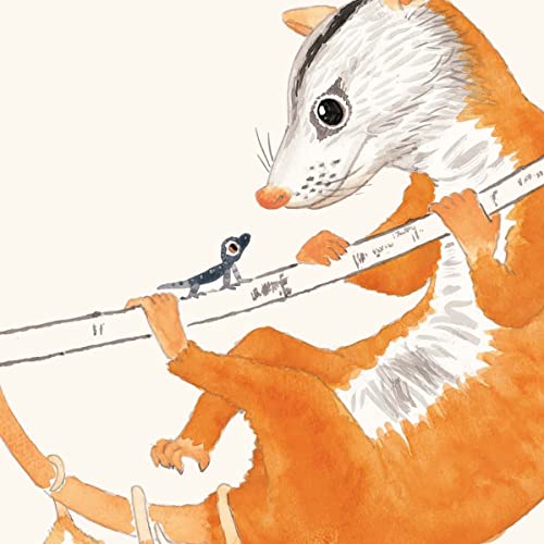 Me Empresta a sua Cauda?