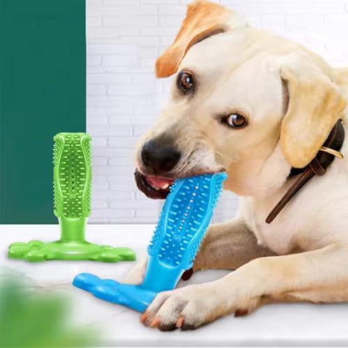 Image of Chew Toy for Dog Toothbrush Stick Dog Toys for Aggressive Chewers Interactive Toys Treats Tough Toy to Keep Them Busy Chew for Small Dogs (Green, M)