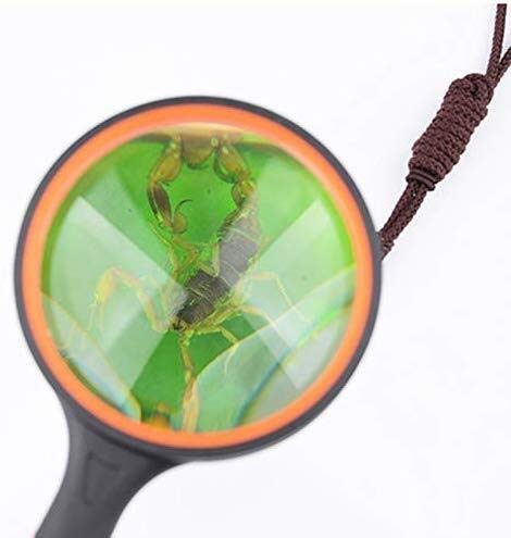 MRKU Lupas, lupas educativas para Pasatiempos, lupas con Lentes de Vidrio de Mano, niños exploran la Naturaleza, para pequeños Animales y Plantas, como Hormigas, Libros de Lectura