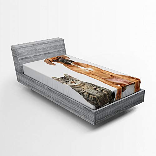 Ambesonne Boxer Dog Fitted Sheet, Photo of a Cat and Dog Sitting Together Animal Friendship Theme Pet Lover Concept, Bed Cover with All-round Elastic Deep Pocket for Comfort, Twin XL Size, Beige Brown