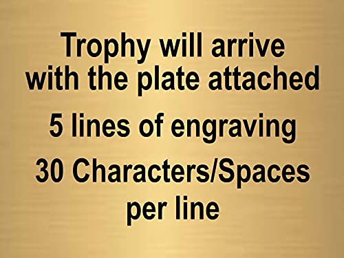 Decade Awards Cup Trophy, Gold And Silver - Metal Cup Corporate Award - 14.5 Inch Tall - Customize Now #TOP1