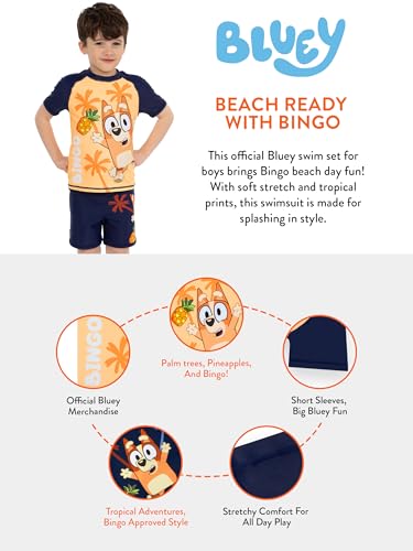 Bluey Boys Swim Set, Bingo Boys Swim Trunks and Rash Guard, Kids Swimwear4