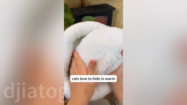 Watch Cozy Pet Nest for Cats A on Amazon Live