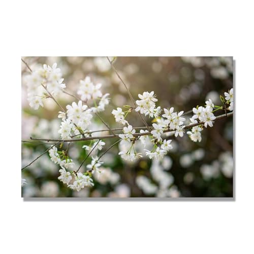 Belles photos de fleurs 144 imprimées sur grande toile pour réveiller vos murs