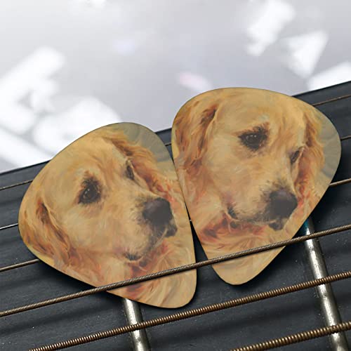 Pack de 12 médiators Golden Retriever pour guitare électrique Guitare acoustique Diverses guitares - Les Beatles, Paul McCartney, John Lennon, RIngo Starr, George Harrison Pack de 12 médiators Golden Retriever pour guitare électrique Guitare acoustique Diverses guitares – Image 7