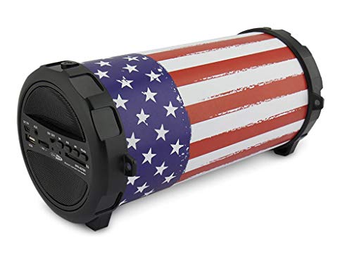 Caliber Haut Parleur Bluetooth - Enceinte sans Fil - USB, SD et AUX - Radio FM - Courroie de Transport - Noir - Autonomie 16h