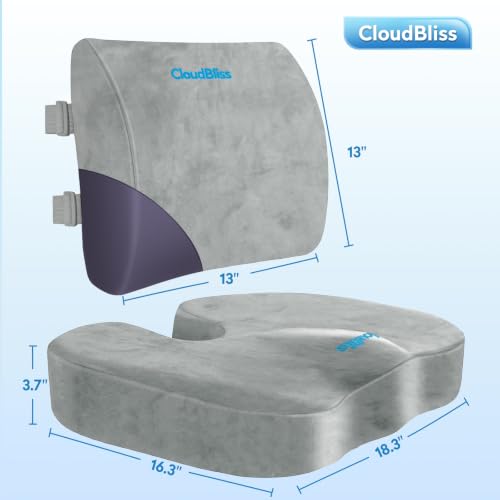 Image of CloudBliss Lumbar Support Pillow & Seat Cushion Set for Office Chair,Desk Chair,Wheelchair & Car-Memory Foam Back Support, Ergonomic Chair Cushions, Sciatica Pain Relief,Home Essentials(Light Grey,XL)