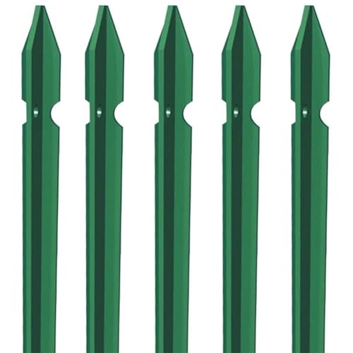 EffeDecor Set 5 Pezzi Paletto Recinzione a T in Acciaio Plastificato Verde per Rete Recinzioni Metalliche 100/125/150/175/200 cm Robusto e Anticorrosione Made in Italy (Verde, H 100 cm)
