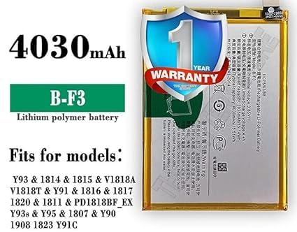 Image of THE BATTERY STORE Original B-F3 Battery for Vivo Y91 / Y93 / Y95 Y93S Y91C / Y90 / Y1S Battery with 1 Year Warranty **** (PPP275)