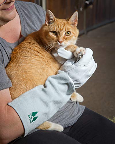 Fir Tree Brand 78604 Leather Gardening Gloves By Fir Tree. Premium Goatskin Gloves With Cowhide Suede Gauntlet Sleeves. Perfect Rose Garden Gloves. Men'S And Women'S Sizes. M-8  thumb #4