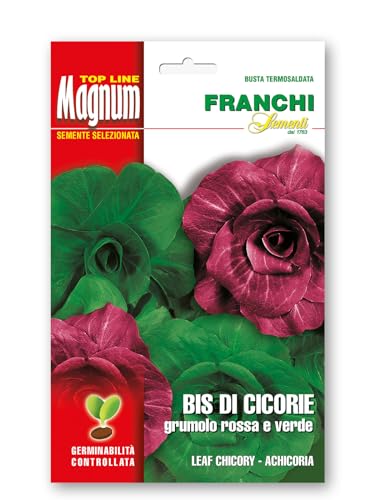 Sementi in busta magnum termosaldata grande per la produzione di ortaggi nell'orto famigliare (Bis di cicorie grumulo, Una busta)