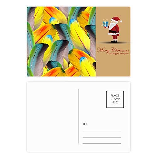 Cartes postales Père Noël soleil et plumes pour illuminer vos vœux de fin d'année