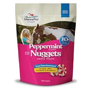 Manna Pro Bite-Size Nuggets | Peppermint Flavored Horse Treats | 1 Pound