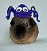 Crochet Spider Hat and Ghost Hat for Guinea Pigs, Bunnies, Cats, and Other Small Pets (Orange Spider Hat)