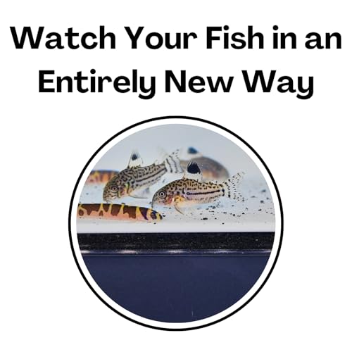 Image of Aquarium Underground Tunnel Cave Natural Curve | Viewing Fish & Shrimp Under Gravel Tunnel | Fish Tank Decor Decoration Hideout Perfect for Corydora Catfish, Kuhli Loach, Clown Loach, Pleco (White)