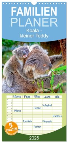 Familienplaner 2025 - Koala - kleiner Teddy mit 5 Spalten (Wandkalender, 21...