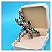 Brosche Strass Große Libellenbroschen for Frauen Vintage Mantel Brosche Pin Insekt Schmuck 8 Farben Verfügbar Geschenk (Metal Color : Mix)