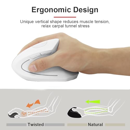 Mouse De Computadora, Personal Computer Imagen adicional