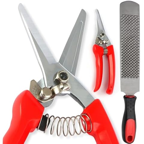 Nosterpop goat hoof trimmers with Mini Hoof rasp File (8-inch) - Nail Clippers for goat Sheep, Alpaca, Lamb, Pig -hoof rasp file - goat nippers - hoof trimmers - Hoof rasp file, Red, Black Cover