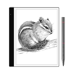 Bigme inkNoteS eReaders 10.3” E Ink Tablet 4G 64GB E-Ink Screen Paper Tablet for Reading, Writing & Sketching, eBook Reader Includes Stylus and Cover