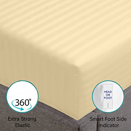 Feather & Stitch Queen Size Damask Bed Sheets|100% Soft Cotton Breathable Bedsheet 4 Pc Set 18" Deep Pockets 500 Tc Sateen Weave Striped Bedding Mattress Resort Hotel Luxury Decor|Semolina #TOP3