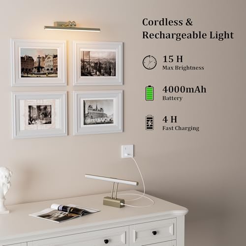 Image of Picture Light for Wall, Antique Brass, 13.8 inch, Remote Control | 4000mAh Cordless,Wall Light, Magnetic for Easy to Charge,Timers, Display for Gallery Living Room Bedroom