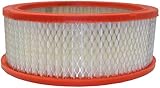 FRAM Extra Guard CA146 Replacement Engine Air Filter for Select Dodge, Chrysler and Plymouth