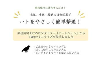 鳥の羽専用出品 H30】天然 鳥 羽・羽根 20枚☆消毒済☆ - メルカリ