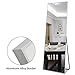 NeuType Full Length Mirror Standing Hanging or Leaning Against Wall, Large Rectangle Bedroom Mirror Floor Mirror Dressing Mirror Wall-Mounted Mirror, Aluminum Alloy Thin Frame, Silver, 65