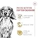 Royal Canin Dachshund Adult Breed Specific Dry Dog Food, 10 Lb bag