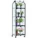 Ohuhu Mini serre pour intérieur et extérieur, petite serre en plastique avec roues verrouillables, serre portable avec housse durable pour semis, cadeau de jardinage idéal pour homme et femme, blanc