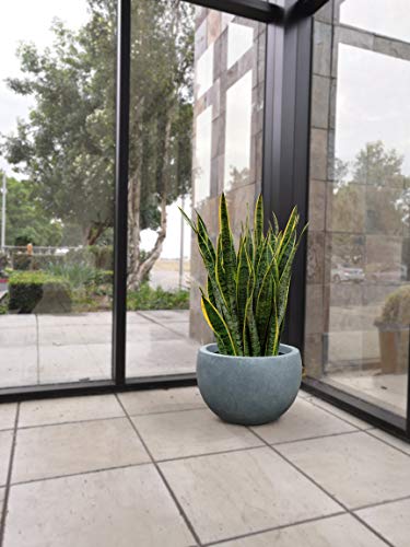 Kante 12" D Lightweight Concrete Outdoor Round Bowl Planter, Outdoor/Indoor Large Planters Pots With Drainage Hole For Garden Patio Balcony Deck Living Room, Slate Gray #TOP4