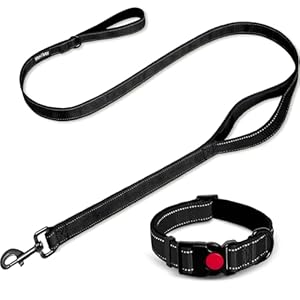 Heavy Duty Dog Leash for Large Dogs – Double-Sided Reflective, 6FT With Padded Handle, Nylon Reinforced Reflective Buckle Collar, Black