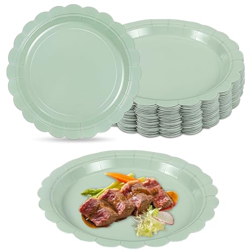 40 Piatti Carta per Compleanno, Piatti Carta Usa e Getta Grandi 23 cm (9 pollici), Piattie Compostabili Stabili per Matrimoni e Feste, Piattie Compleanno Ecologici Realizzati in Materiali Naturali