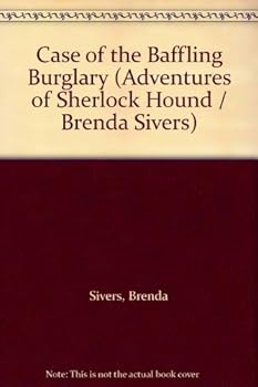 Hardcover Case of the Baffling Burglary Book