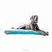 BRINDLE Soft Memory Foam Dog Bed with Removable Washable Cover - 52in x 34in - Teal