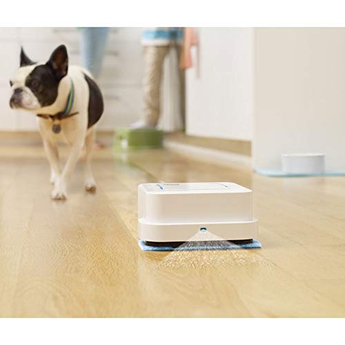 iRobot Braava Jet 250