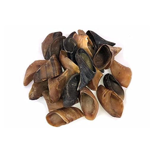 Downtown Pet Supply Dog Bones - Cow Hooves for Dogs Made in USA - Dog Dental Treats & Rawhide Free Dog Chews - Bully Sticks Alternative - Dog Chew Bones - Grass-Fed Beef Hooves - Plain - 25 Pack