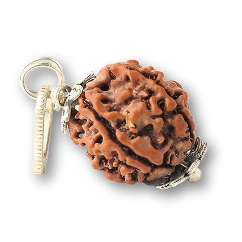 Devam's Natural Panchmukhi Rudraksha Pendant with Silver Cap and Ring, Traditional Hindu Prayer Bead Charm-image-3