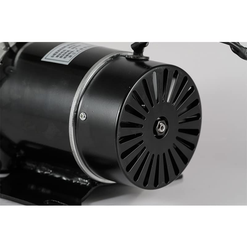 Generic The Permanent Magnet Dc Brush Motor MY1020ZXFH450W48V36V24V Electric Tricycle Fittings - (Speed(RPM): 450 W 48 V)