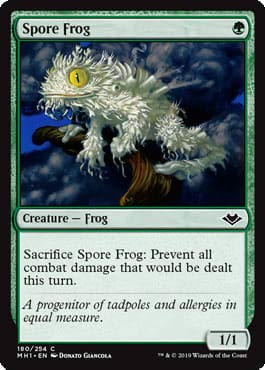 MTGプレイマット　Spore Frog Family Amazon.com: Spore Frog : Toys & Games